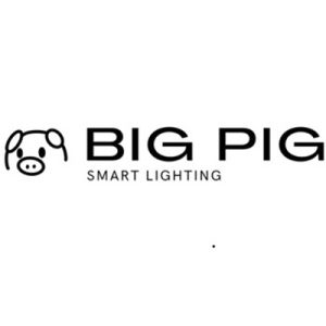 Big Pig Smart Lighting